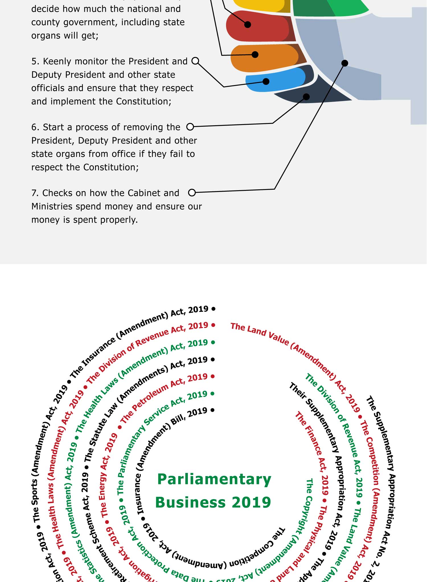 Mzalendo Infographic Flyer Design 2